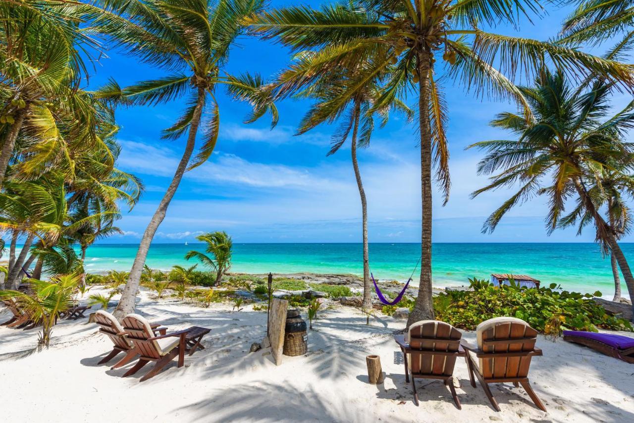 Moonshine Hotel Playa del Carmen Exteriör bild